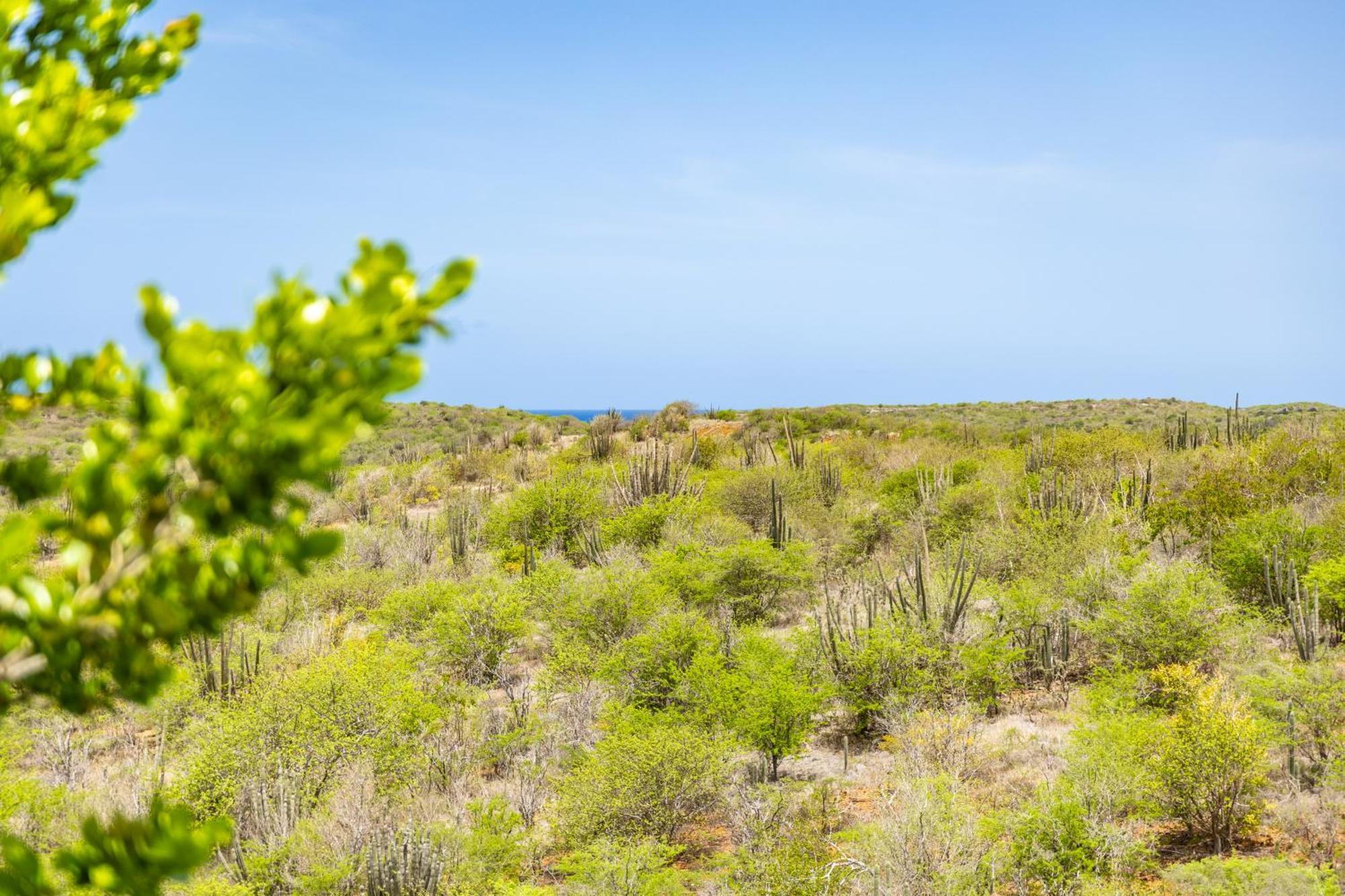 6 Persoons Vakantiehuis In Jan Thiel Willemstad Ngoại thất bức ảnh